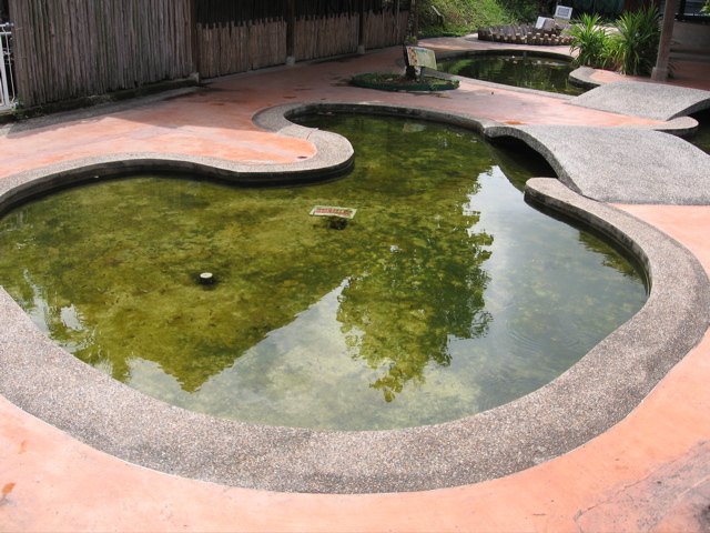 Kid pond