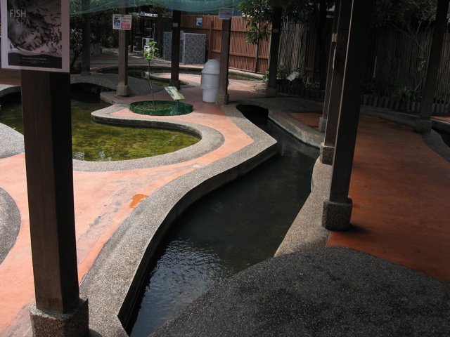 catch-it-yourself, again