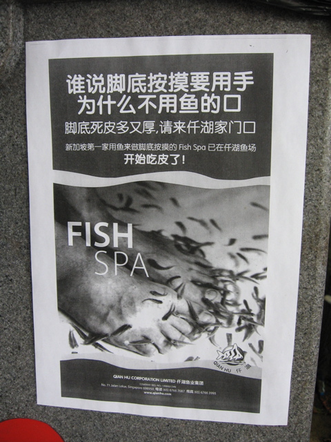 Fish Spa sign