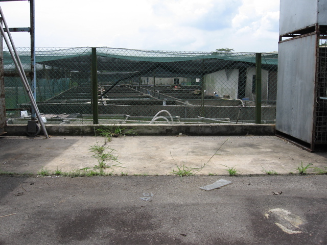 Back Lot #4
