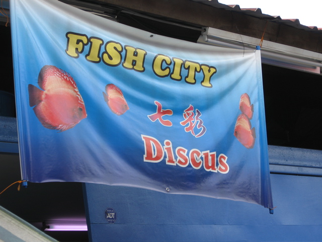 Discus