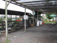 petting zoo