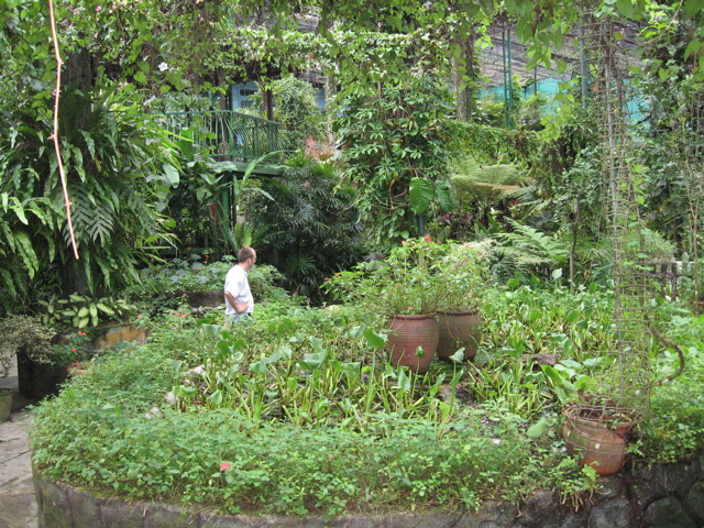 Butterfly Garden 5