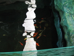 IMG_0851.JPG