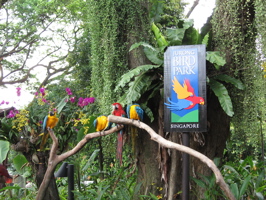 Bird Park