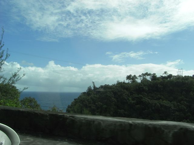 Big Island landscape 1
