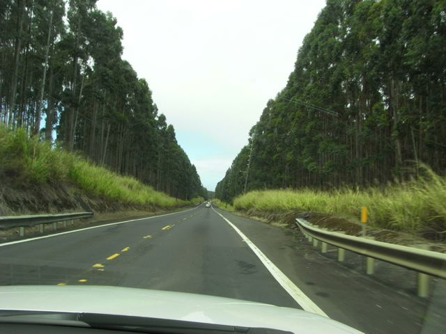Big Island landscape 2