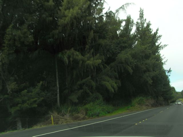 Big Island landscape 3