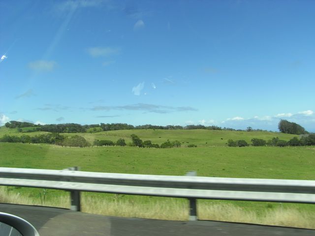 Big Island landscape 5