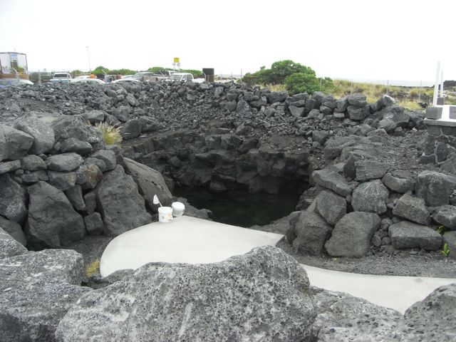 Anchioline pool full of OpaeUla