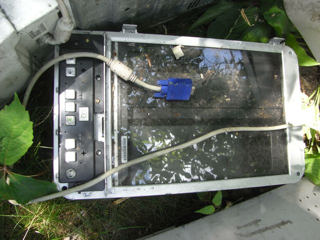 Mystery crap from attic