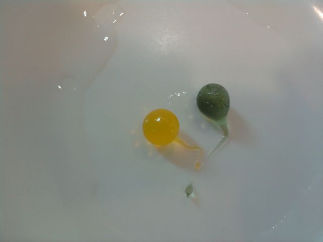 tadpole2.jpg