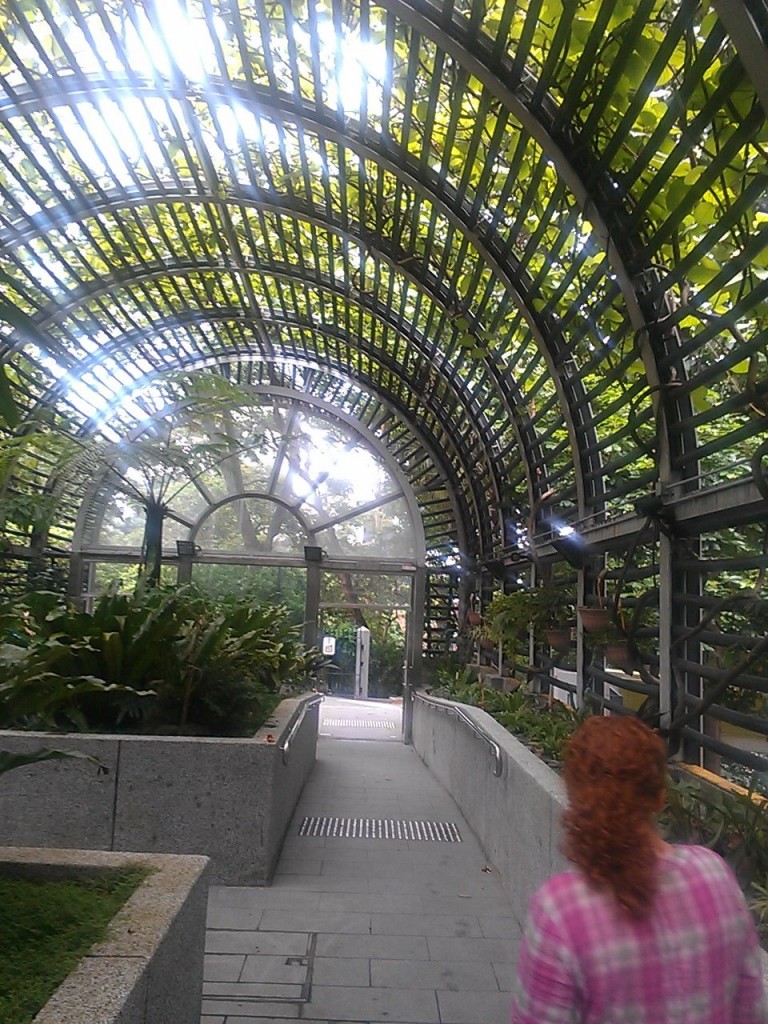 hongkongbotanical2