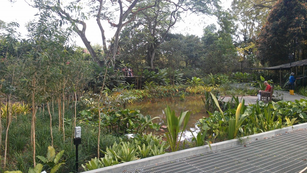 SingaporeFoliageGarden3